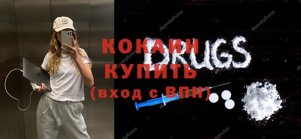 индика Алексин