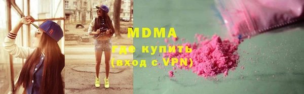 индика Алексин