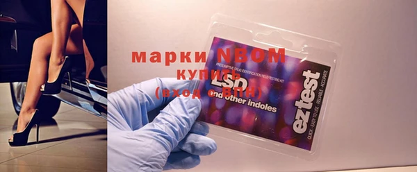 индика Алексин