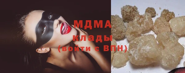 индика Алексин