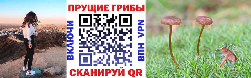 Псилоцибиновые грибы ЛСД Чердынь